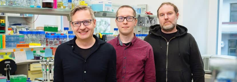 Polscy naukowcy z publikacją w „Nature”. Wyjaśniają mechanizmy skuteczności leków mRNA