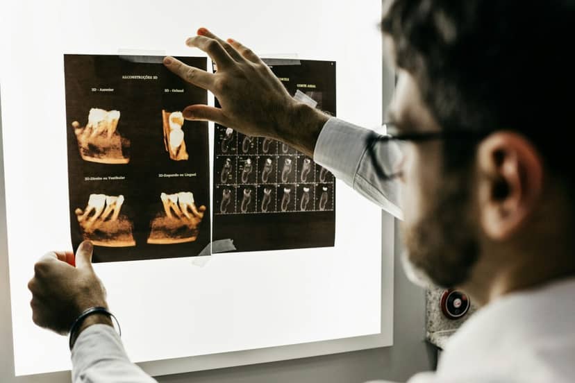 Koniec plomb i implantów? Naukowcy hodują prawdziwe zęby w laboratorium