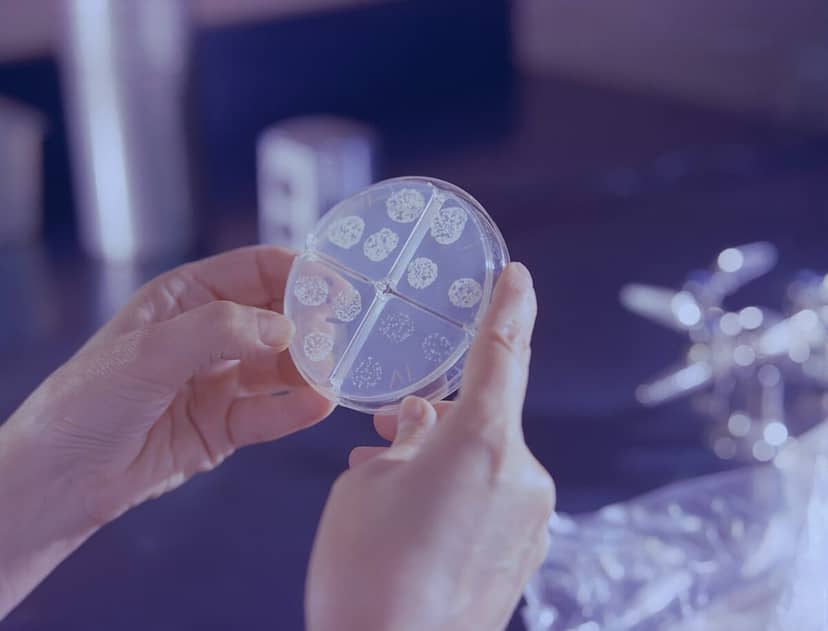 Skóra jak apteka. Nowy antybiotyk tuż pod naszymi nosami