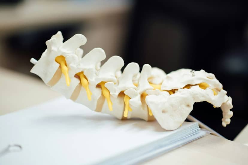 Geny, które skręcają kręgosłup. Polski projekt może zmienić diagnostykę rzadkich wad wrodzonych