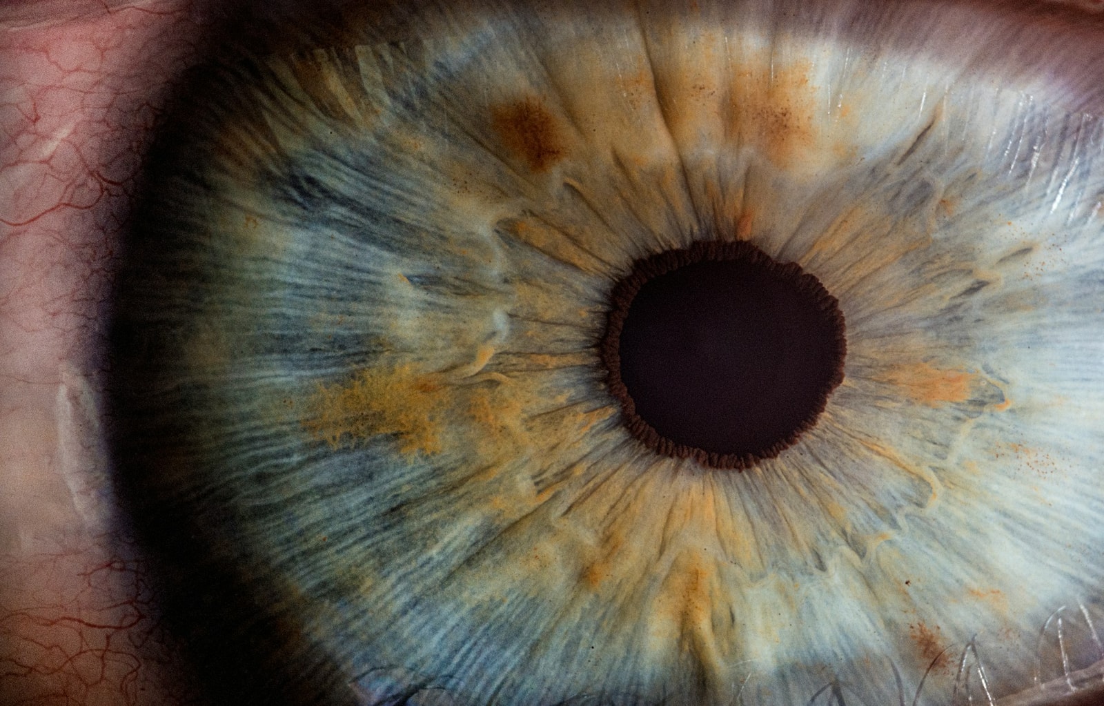 Oko &#8211; zdjęcie poglądowe /Fot. Unsplash
