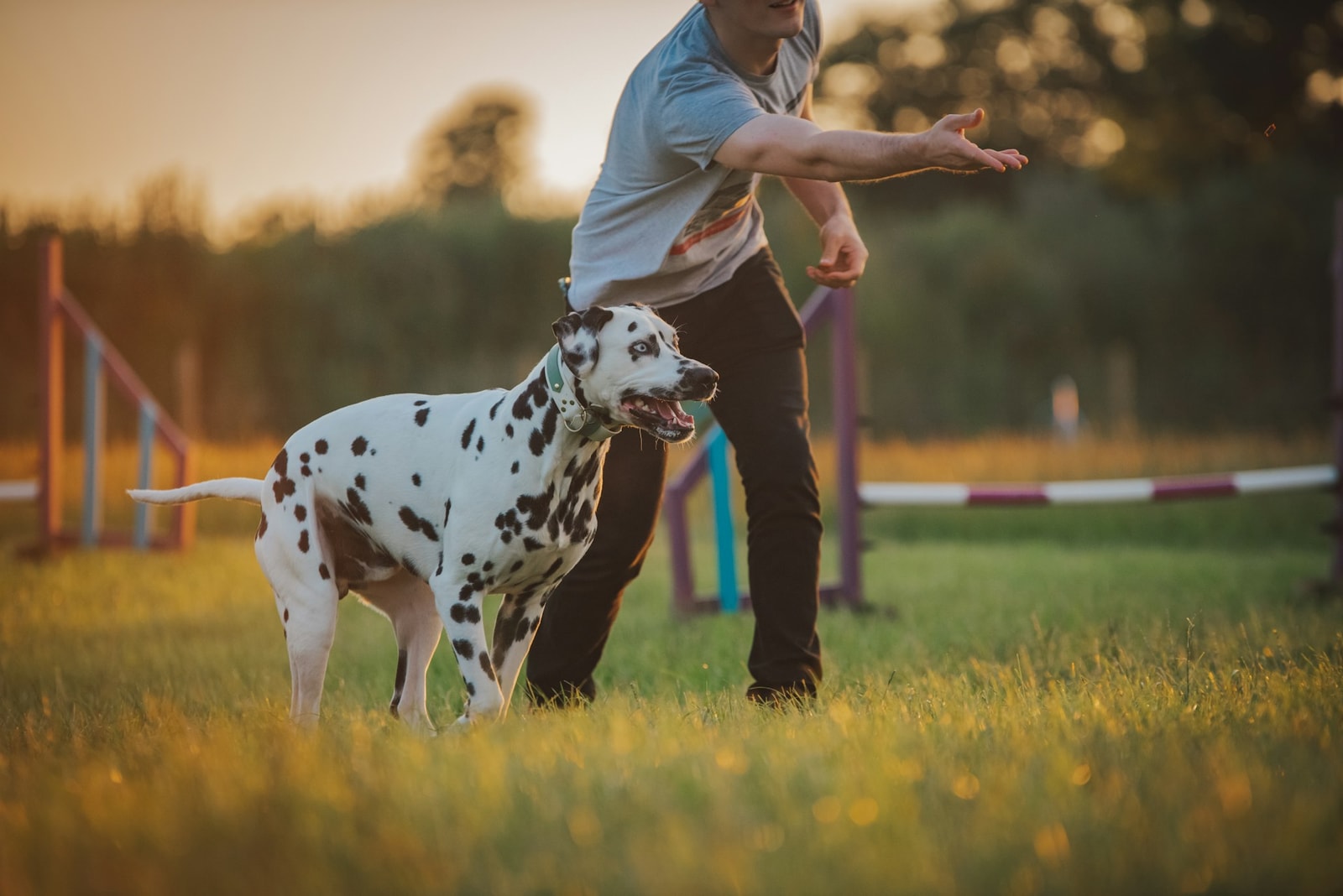 Pies i jego właściciel &#8211; zdjęcie poglądowe /Fot. Unsplash
