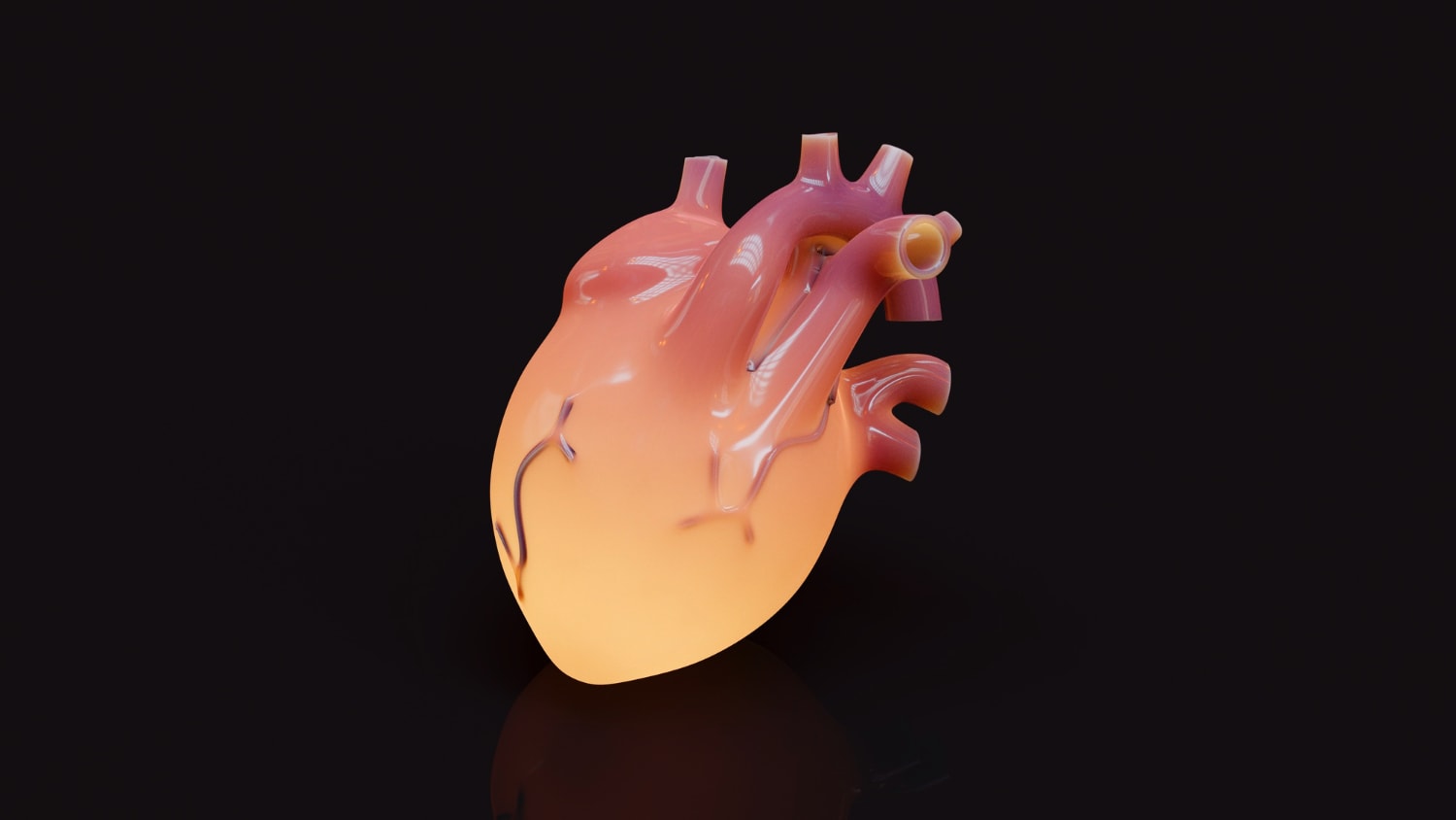Serce &#8211; model 3D /Fot. Freepik

