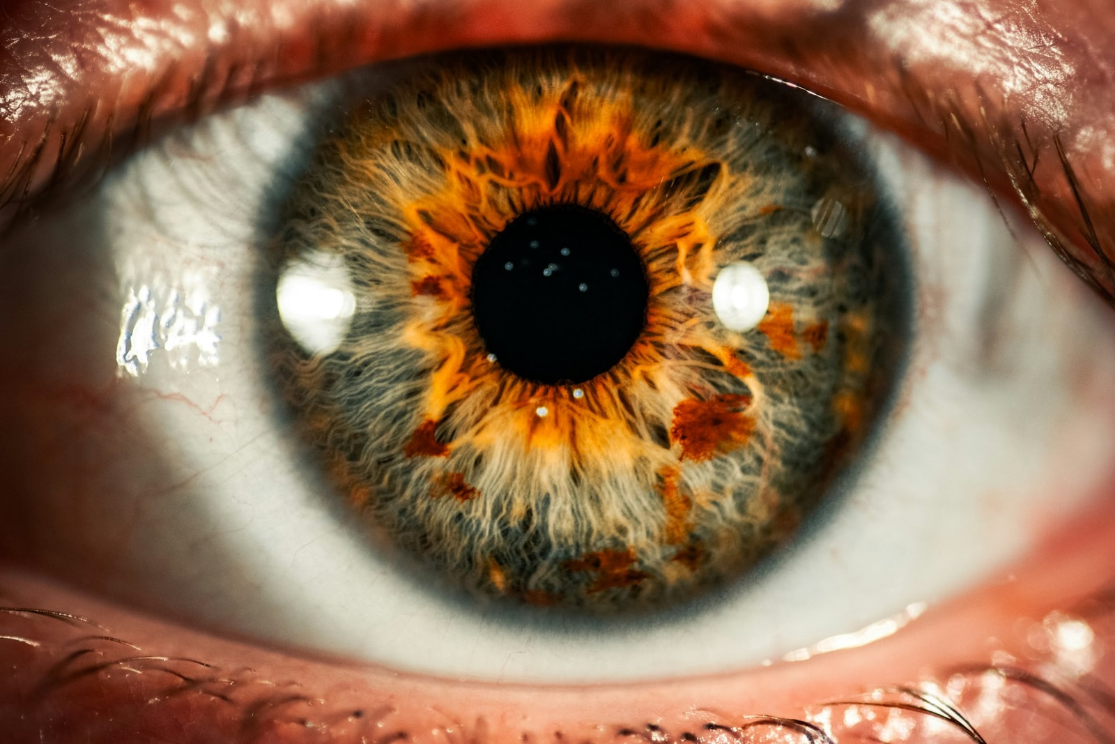 Oko &#8211; zdjęcie poglądowe /Fot. Unsplash
